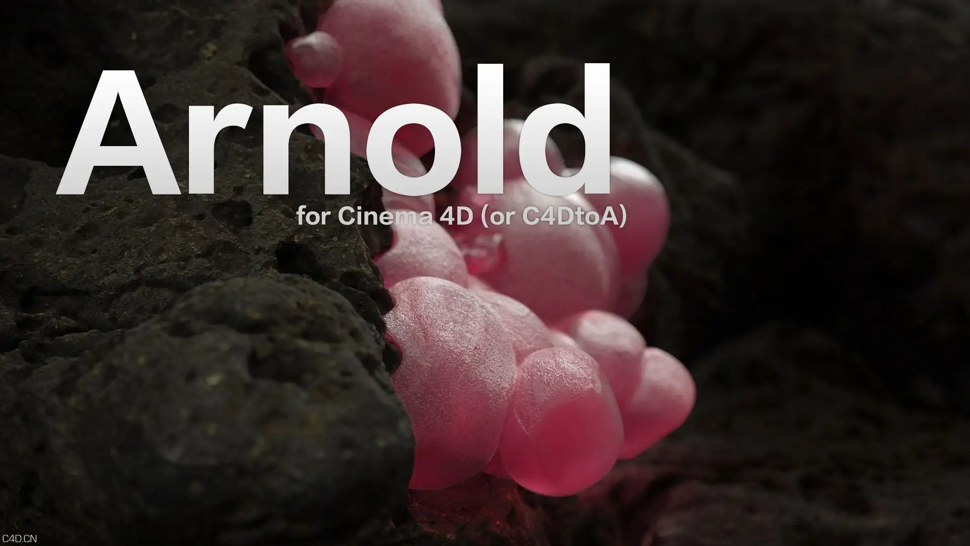 C4D阿诺德Arnold渲染器 SolidAngle C4DtoA 2.3 R17/R18/R19 Win/Mac AMPED和谐版