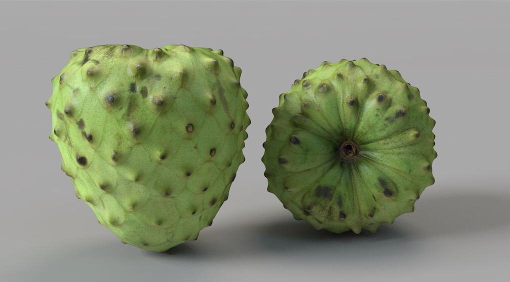 南美洲番荔枝 释迦C4D模型 Custard Apple - C4D之家 - 屏幕快照 2018-04-12 20.56.04.jpg