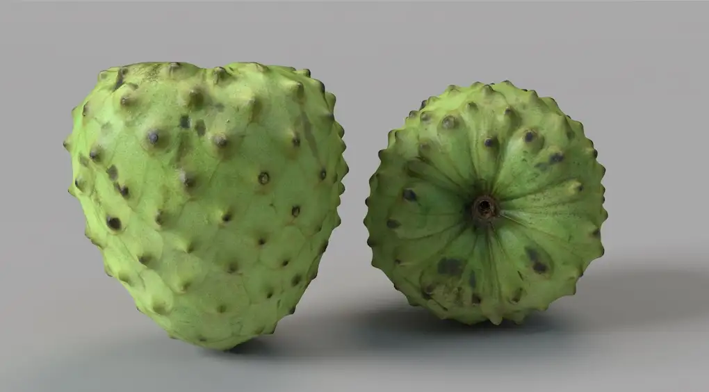 南美洲番荔枝 释迦C4D模型 Custard Apple - C4D之家 - 屏幕快照 2018-04-12 20.56.04.jpg