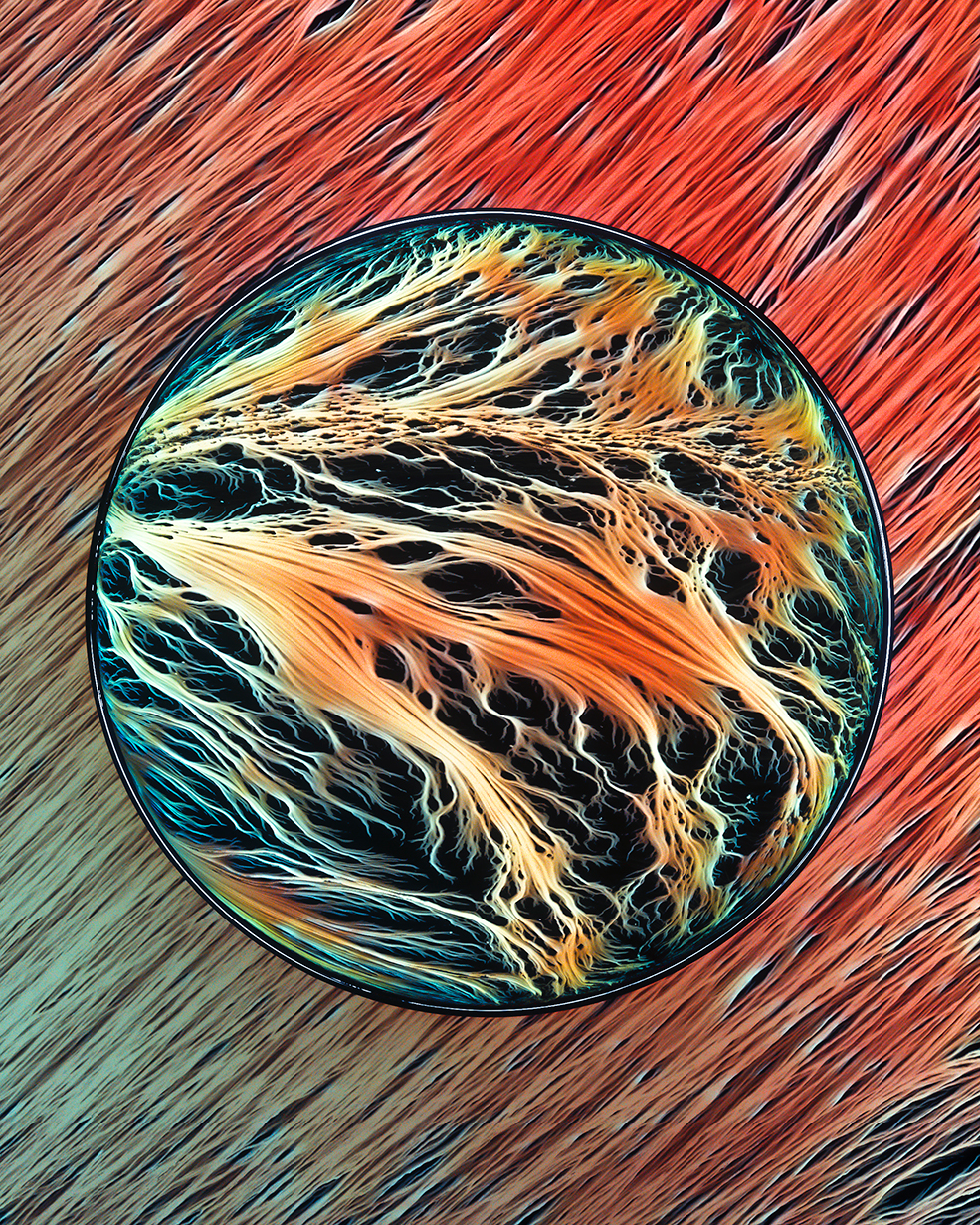 C4D实用工程第689季：纤维物质创意C4D工程 C4D Project[Cinema4D - Octane]