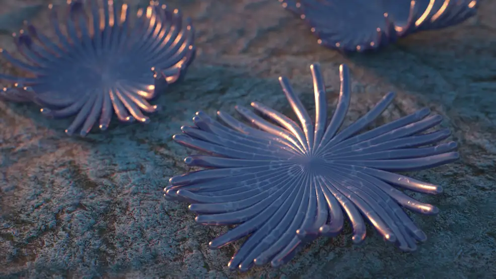 C4D海星动画工程文件 STARFISH