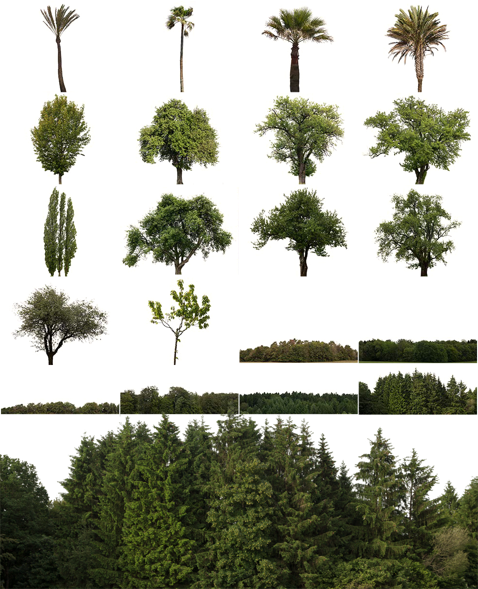 20个树木树林PNG抠图透明背景贴图素材 cutout trees - C4D之家 - 未命名.jpg