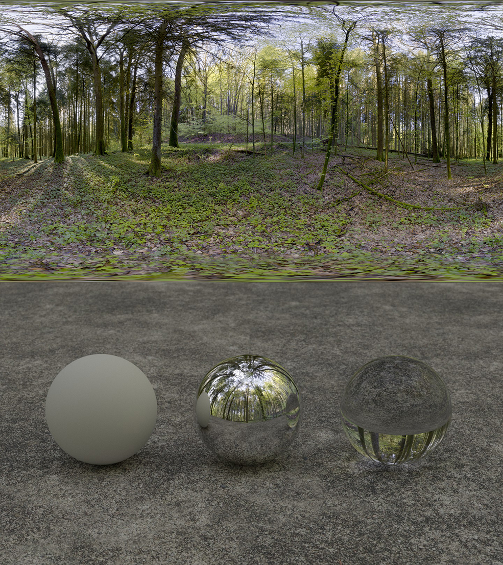 树林高清HDR贴图素材 Forest - Hochsal 02 - C4D之家 - forest-hochsal02.jpg