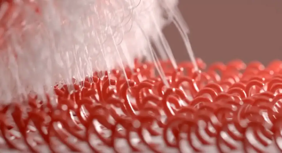 GSG灰猩猩C4D勾线搭扣效果动画教程 Recreating the Velcro Effect In Cinema 4D