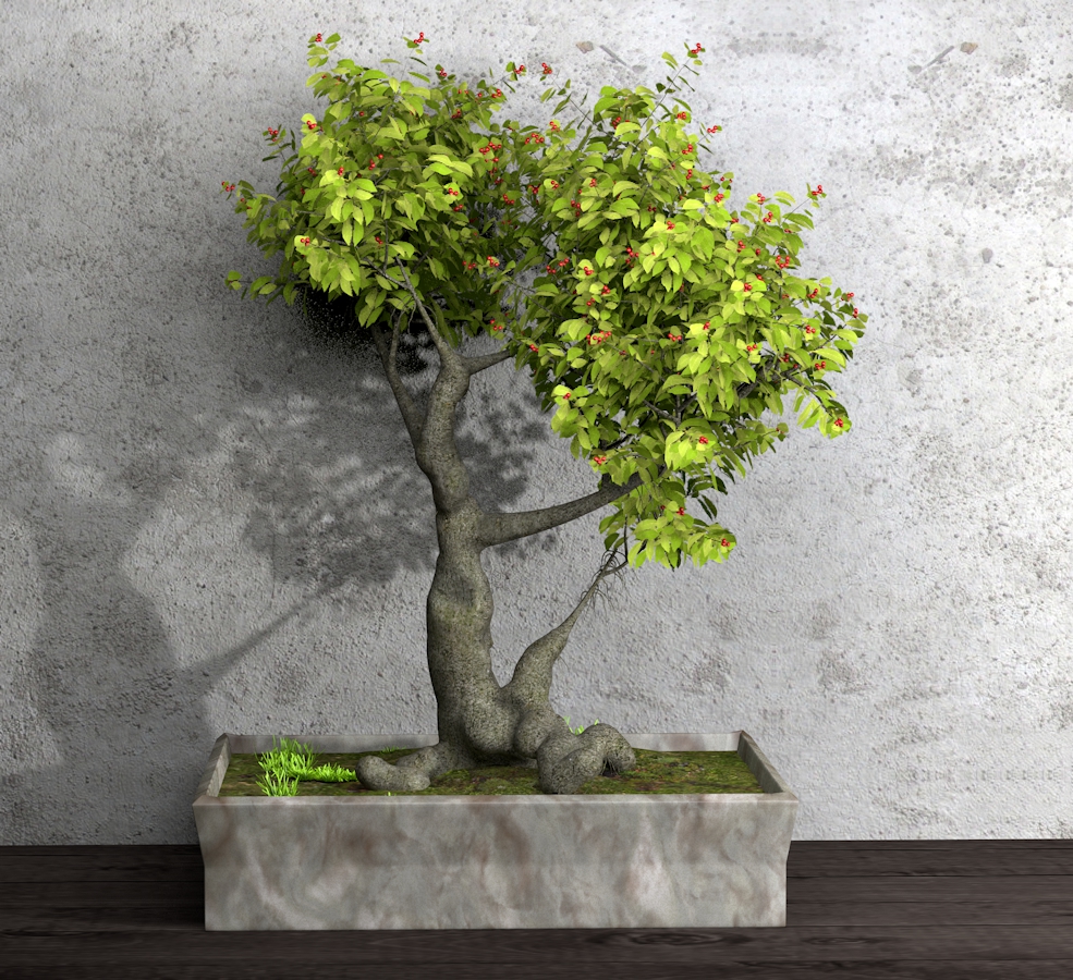 盆景树C4D模型 dwarf tree - C4D之家 - 021.jpg