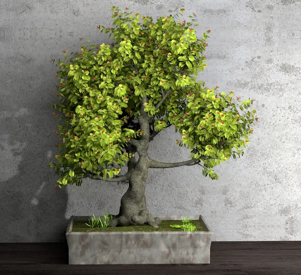 景观树盆景C4D模型 dwarf tree - C4D之家 - Untitled-2.jpg