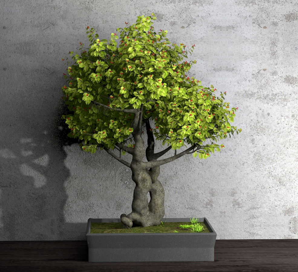 景观树盆景C4D模型 dwarf tree - C4D之家 - Untitled-3.jpg