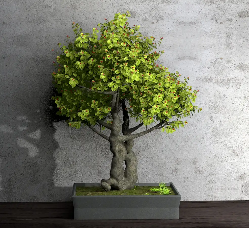 景观树盆景C4D模型 dwarf tree - C4D之家 - Untitled-3.jpg