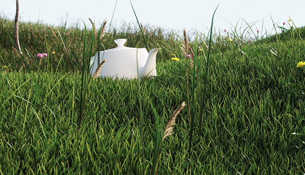 6种花草C4D模型 VizPeople Grass - C4D之家 - Gree_3d_Grass_model.jpg