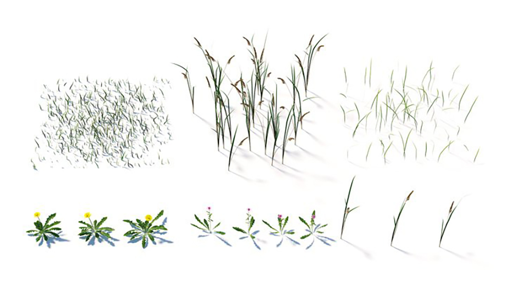 6种花草C4D模型 VizPeople Grass - C4D之家 - Gree_3d_Grass_model_elements.jpg