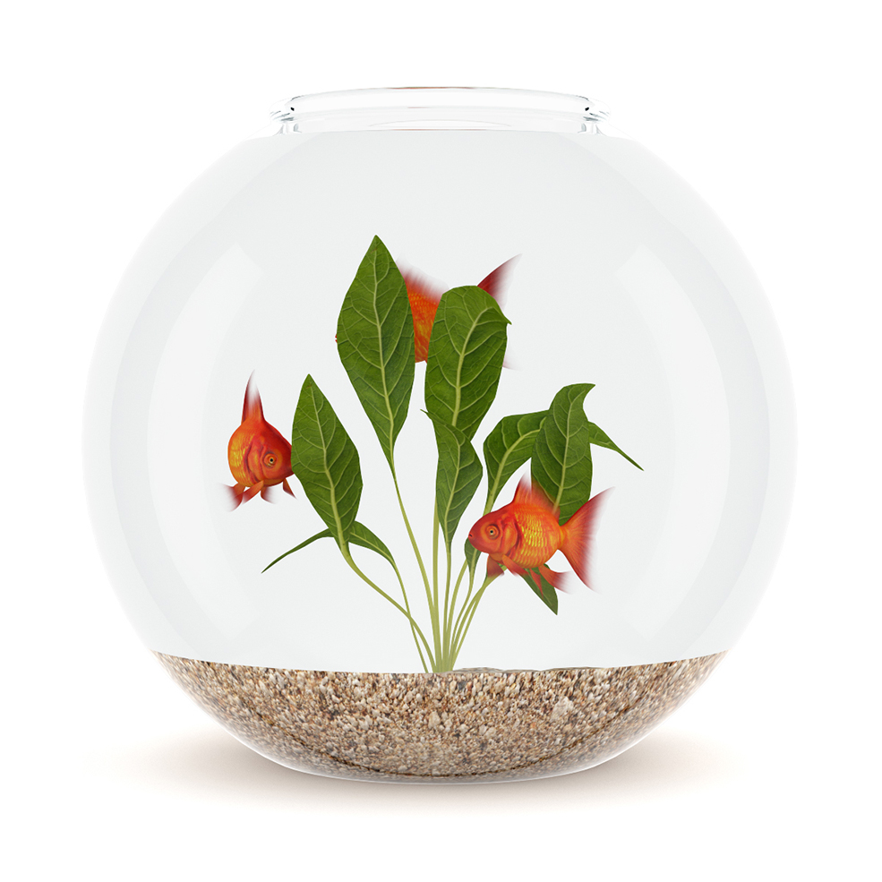 C4D圆形玻璃鱼缸模型 Fish tank
