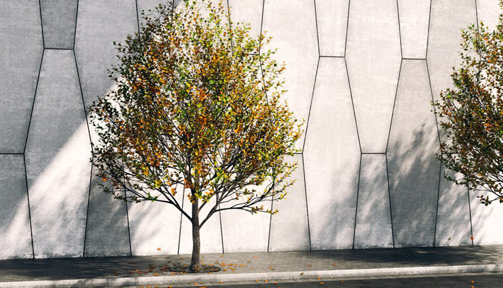 景观树C4D模型 Tree - C4D之家 - Free_3d_Tree_from_VizPeople.jpg
