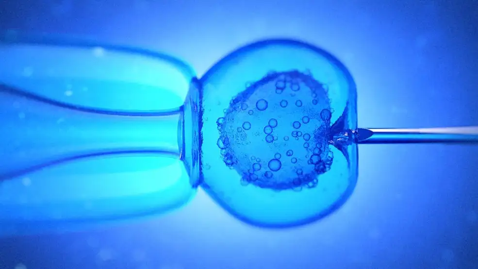 C4D+AE细胞化验医学动画教程 Medical Animation Tutorial