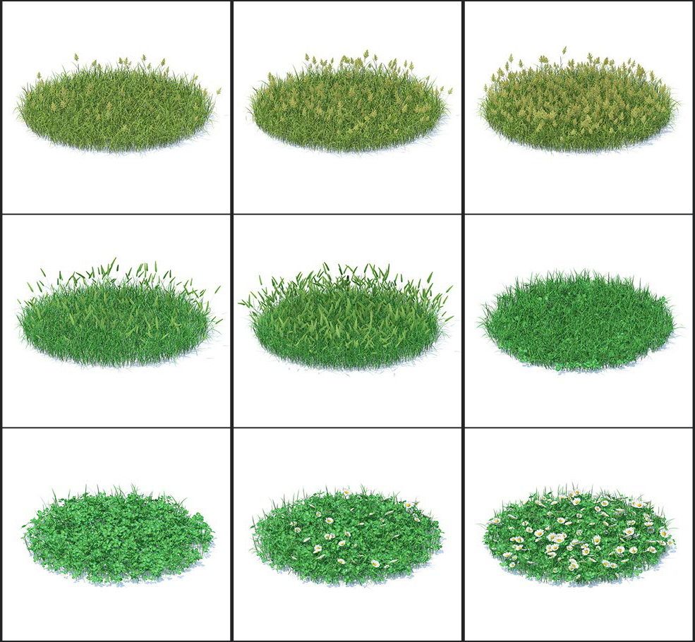 51个野生植物花朵3D模型 CGAxis – Wild Plants 3D Models Collection Volume 91 - C4D之家 - 未命名-2.jpg