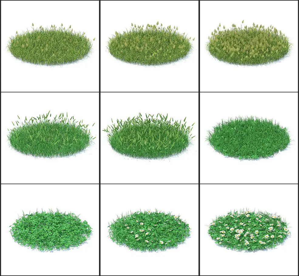 51个野生植物花朵3D模型 CGAxis – Wild Plants 3D Models Collection Volume 91 - C4D之家 - 未命名-2.jpg