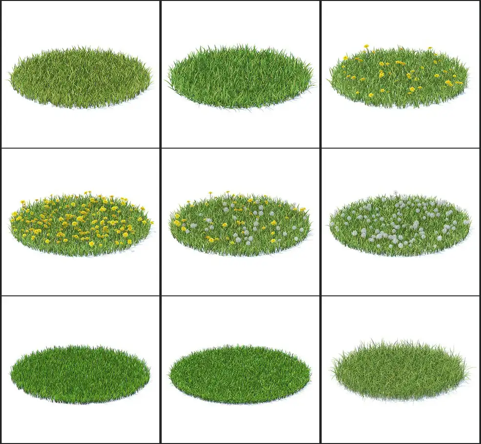 51个野生植物花朵3D模型 CGAxis – Wild Plants 3D Models Collection Volume 91 - C4D之家 - 未命名-1.jpg