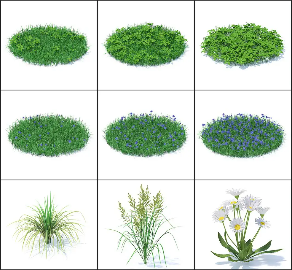 51个野生植物花朵3D模型 CGAxis – Wild Plants 3D Models Collection Volume 91 - C4D之家 - 未命名-3.jpg