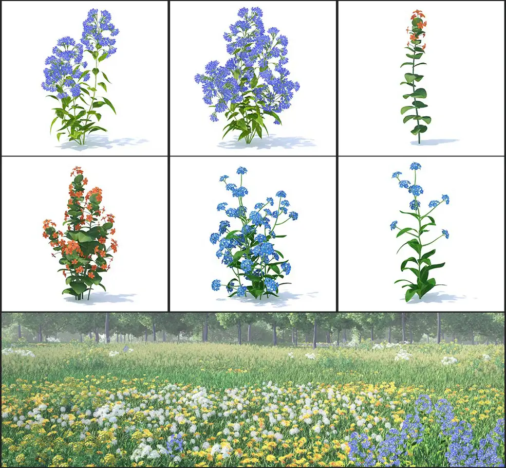 51个野生植物花朵3D模型 CGAxis – Wild Plants 3D Models Collection Volume 91 - C4D之家 - 未命名-6.jpg