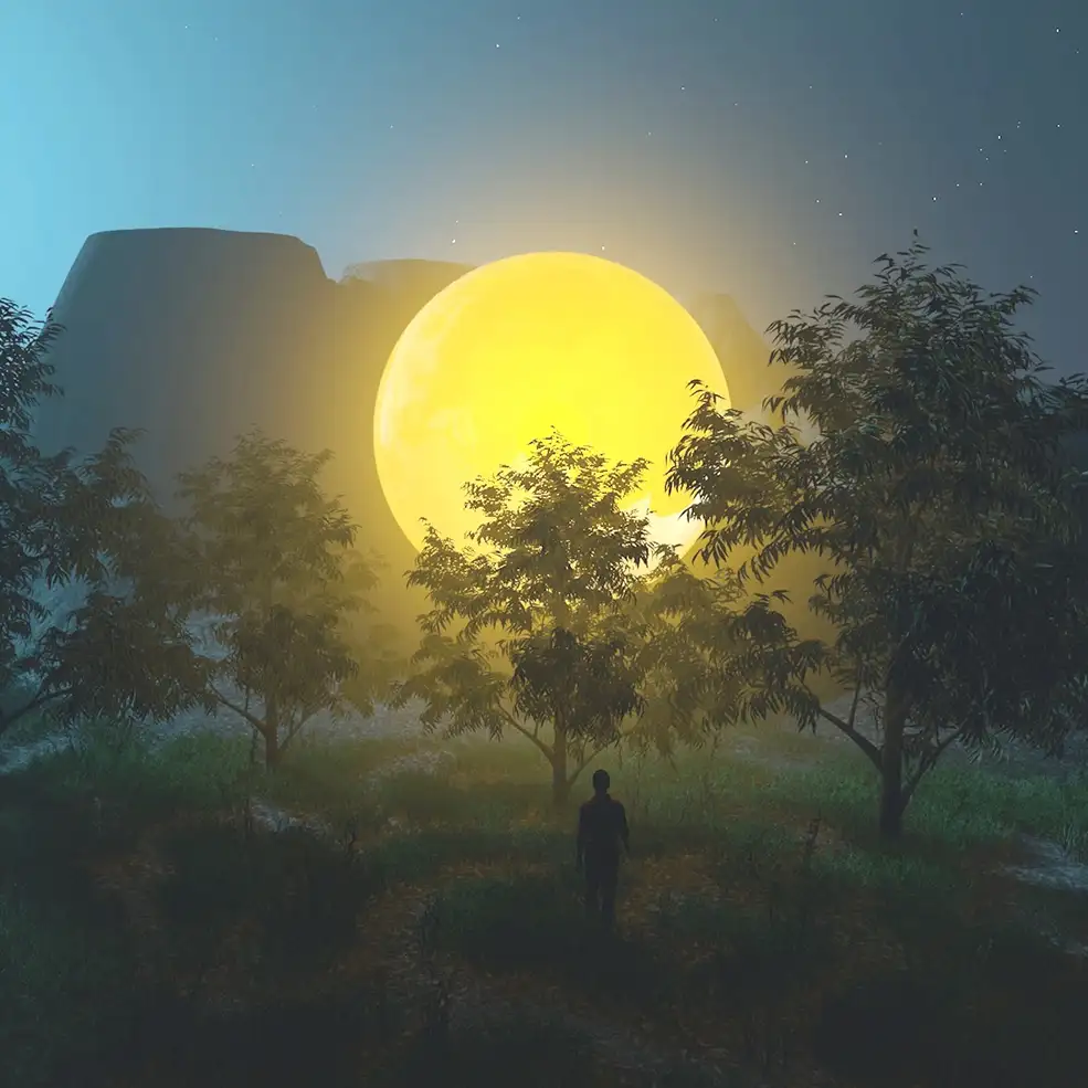 C4D落在树林里的明月创意工程 LOW MOON