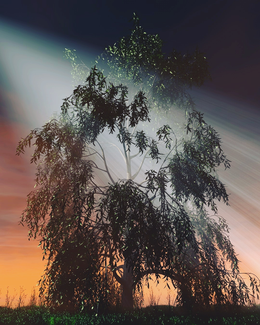 C4D树林中的透射光线创意工程 DECAY SHOWROOM