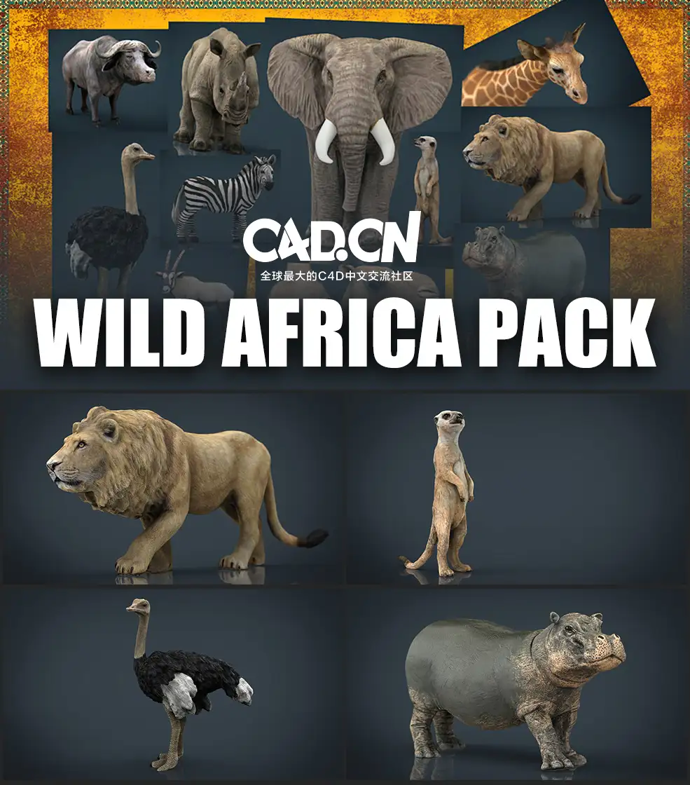 11个非洲野生动物3D模型 Cubebrush – Wild Africa Pack (MAX/FBX/MB/OBJ格式)