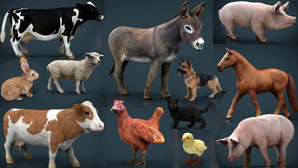12种家禽动物3D模型 Cubebrush – Farm Animals Collection Pack