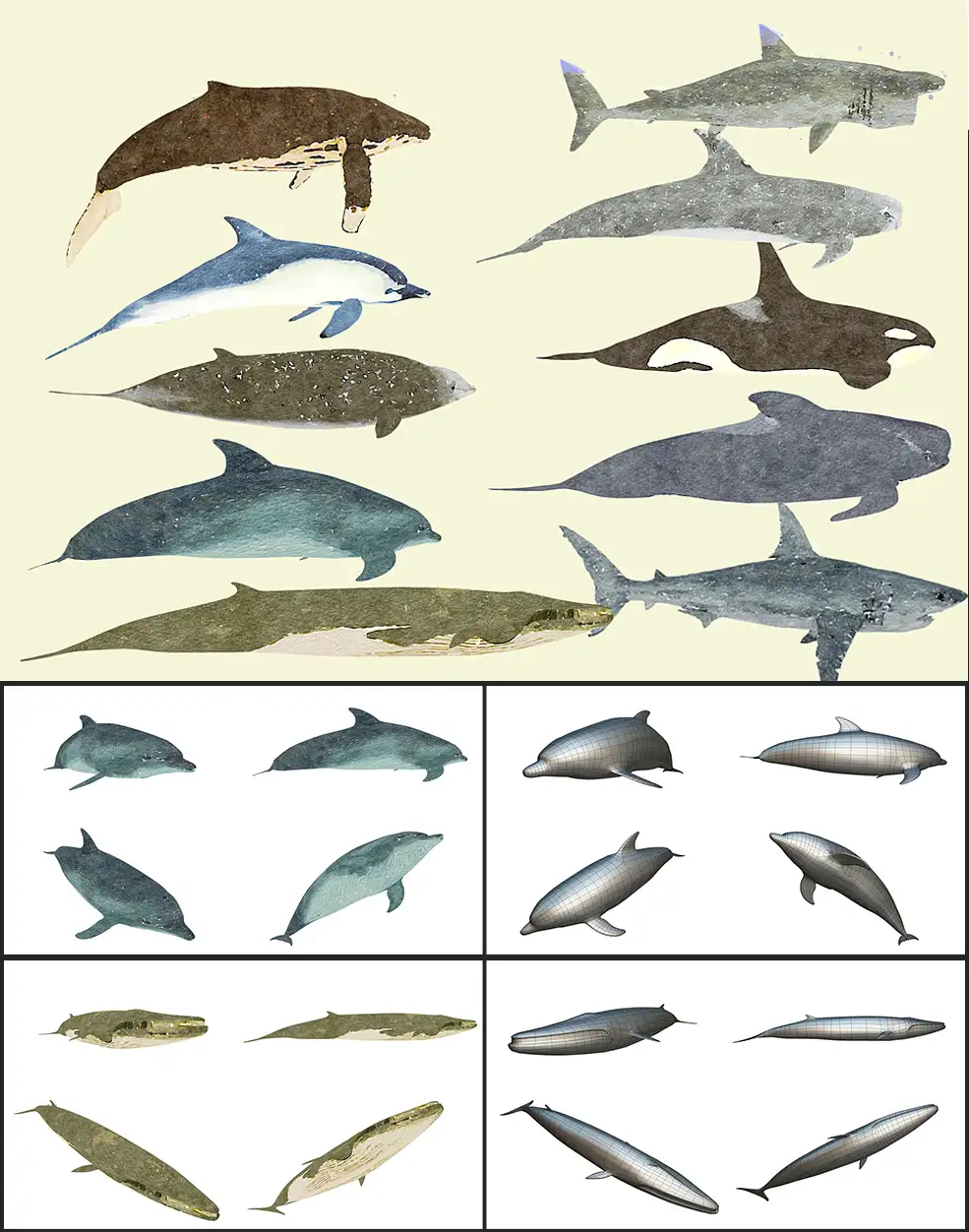 10个低多边形海洋鱼类3D模型 Low Poly Big Fish Illustration Collection Animated - C4D之家 - 0.jpg