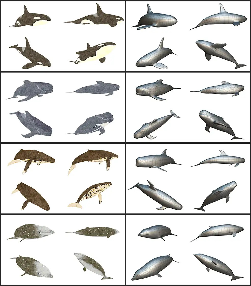 10个低多边形海洋鱼类3D模型 Low Poly Big Fish Illustration Collection Animated - C4D之家 - 未命名-1.jpg