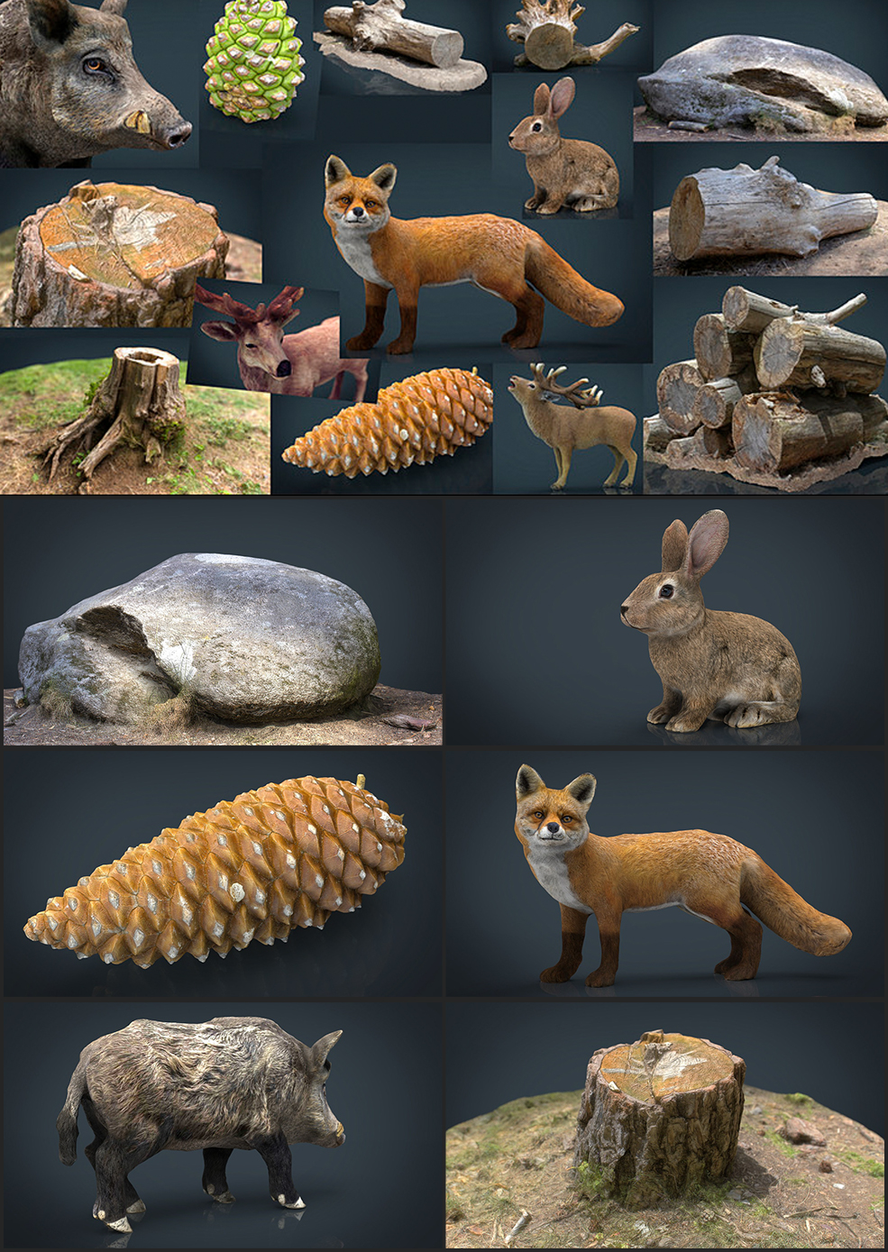 14个森林动植物3D模型 Cubebrush – The Forest Collection Pack - C4D之家 - 未命名-2.jpg