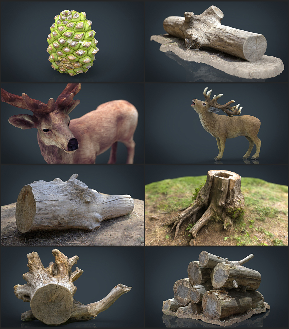 14个森林动植物3D模型 Cubebrush – The Forest Collection Pack - C4D之家 - 未命名-1.jpg