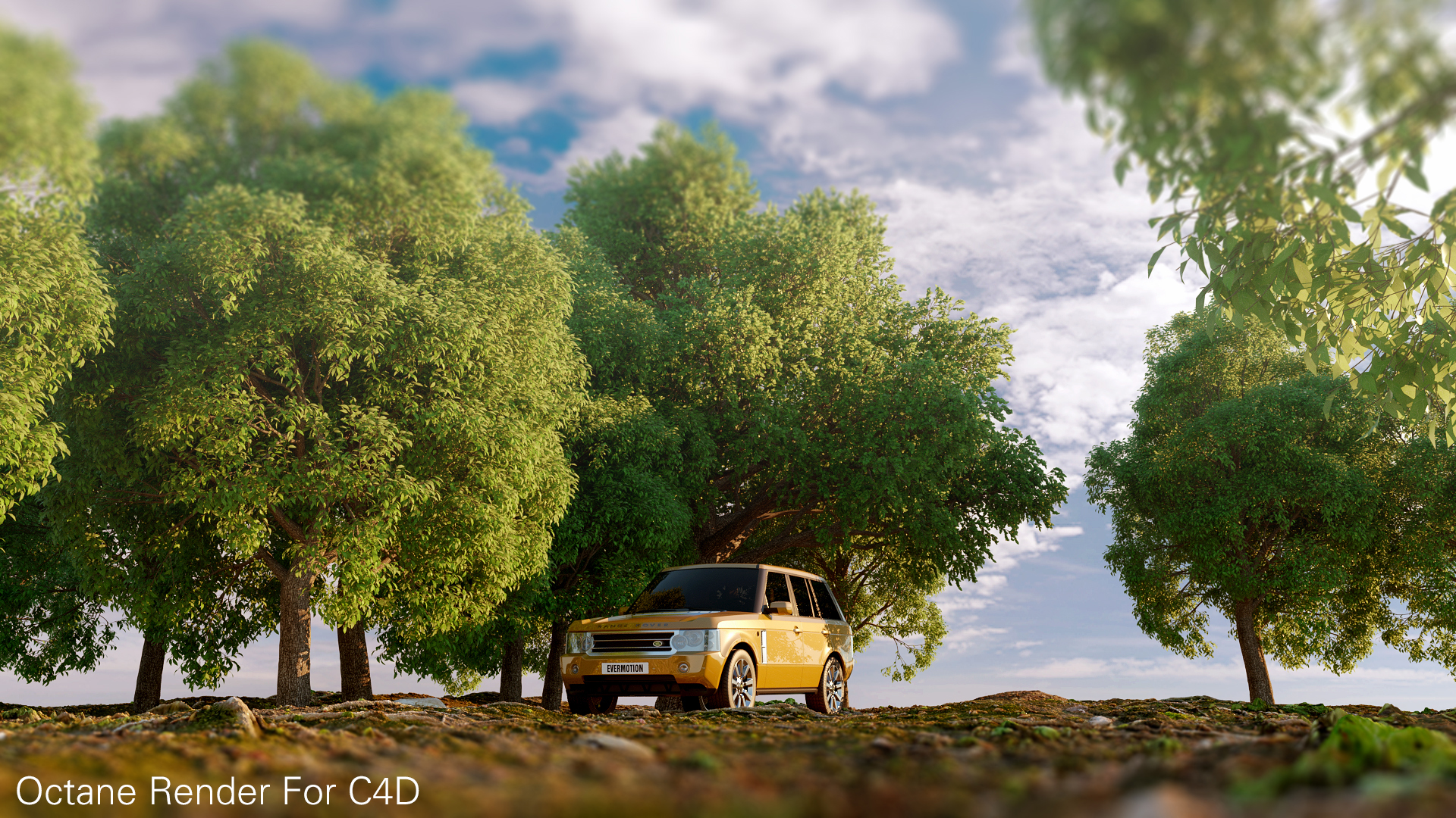 C4D写实场景文件（OC渲染器） - C4D之家 - ok-FX-Y.jpg