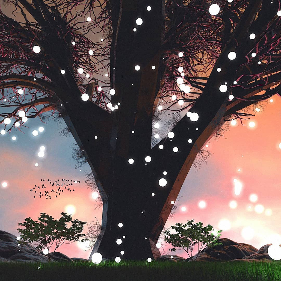 C4D夕阳下梦幻的低面参天大树创意工程 POLYLIFE - C4D之家 - 44425912_1889523504429312_1166955472731624240_n.jpg