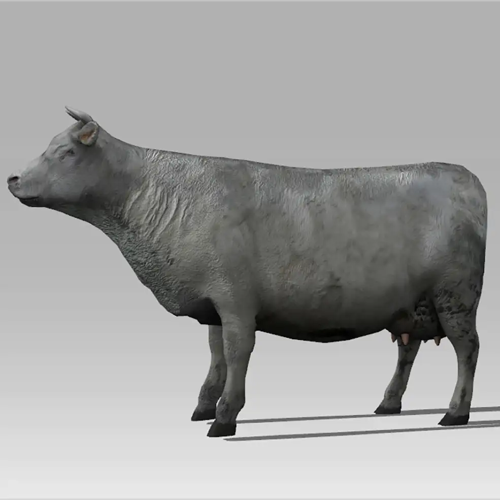 水牛(Farm Cow)C4D动画模型