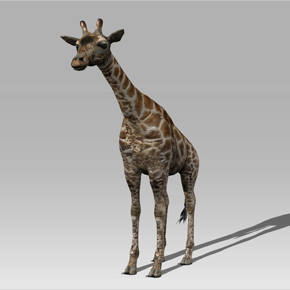 C4D长颈鹿绑定动画模型 Giraffe 3D MODEL - C4D之家 - GiraffePromoD_1024x1024.jpg