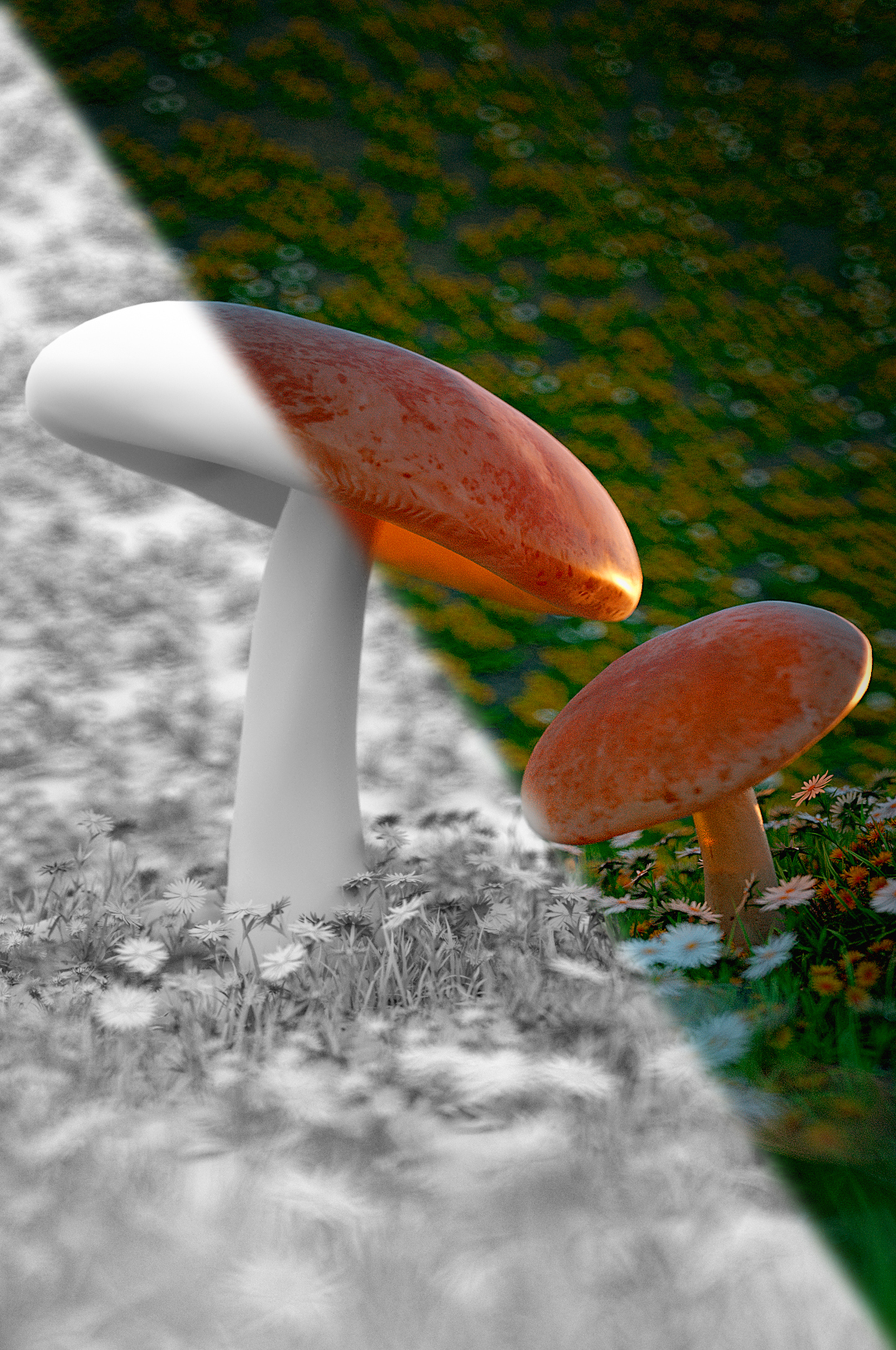 Octane Render For C4D植物渲染练习 - C4D之家 - m.jpg