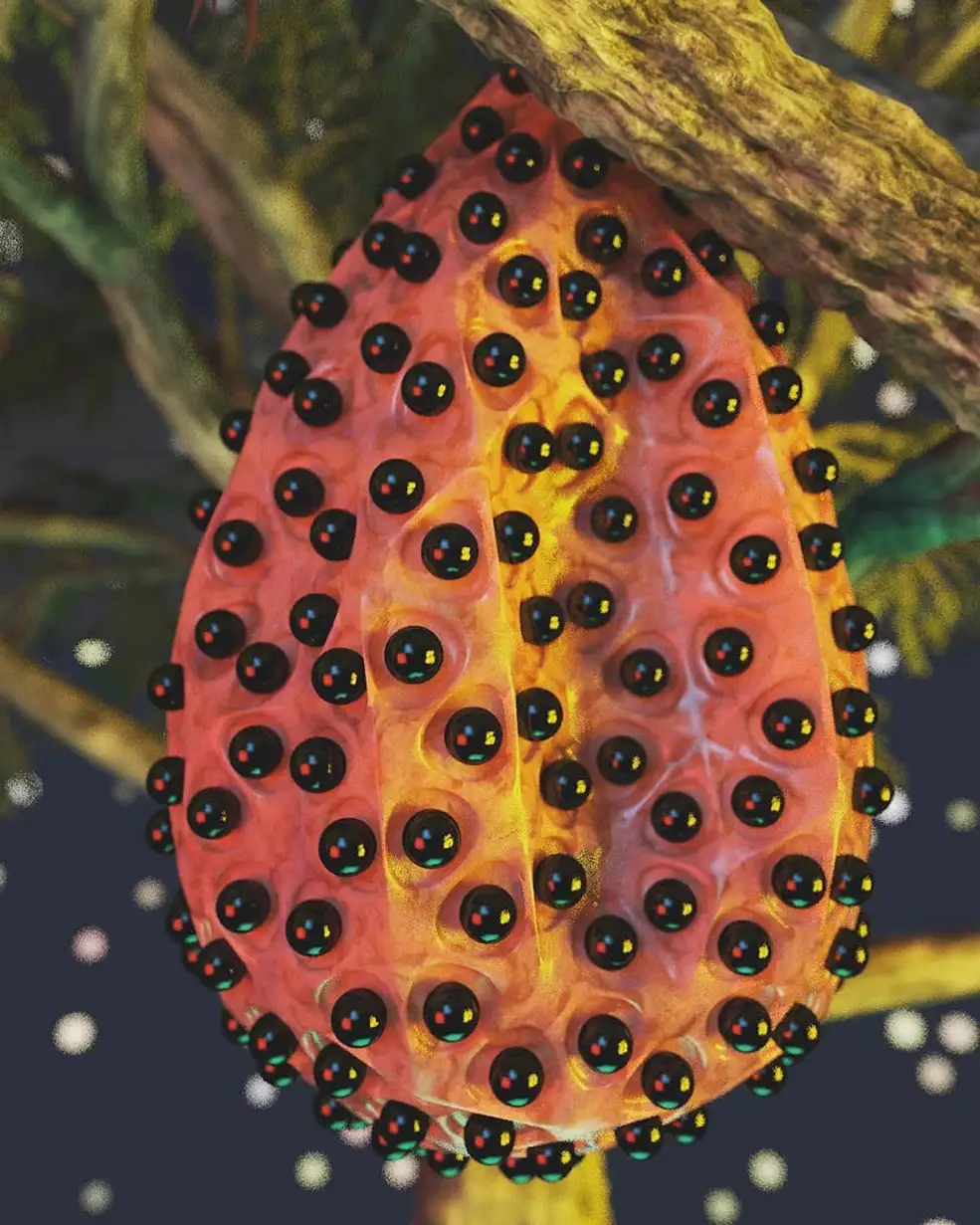 C4D水果模型:杨桃(STARFRUIT)C4D模型 - C4D之家 - 45326921_280848772470271_3998653902407736410_n.jpg