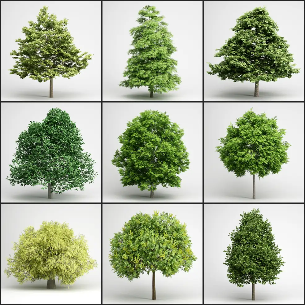 25个景观树木C4D模型 Tree