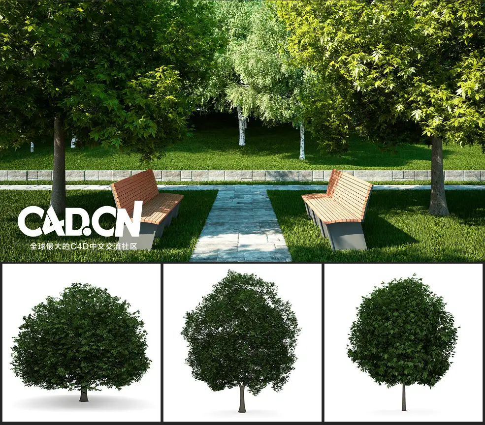 30棵景观树木C4D模型合集 tree