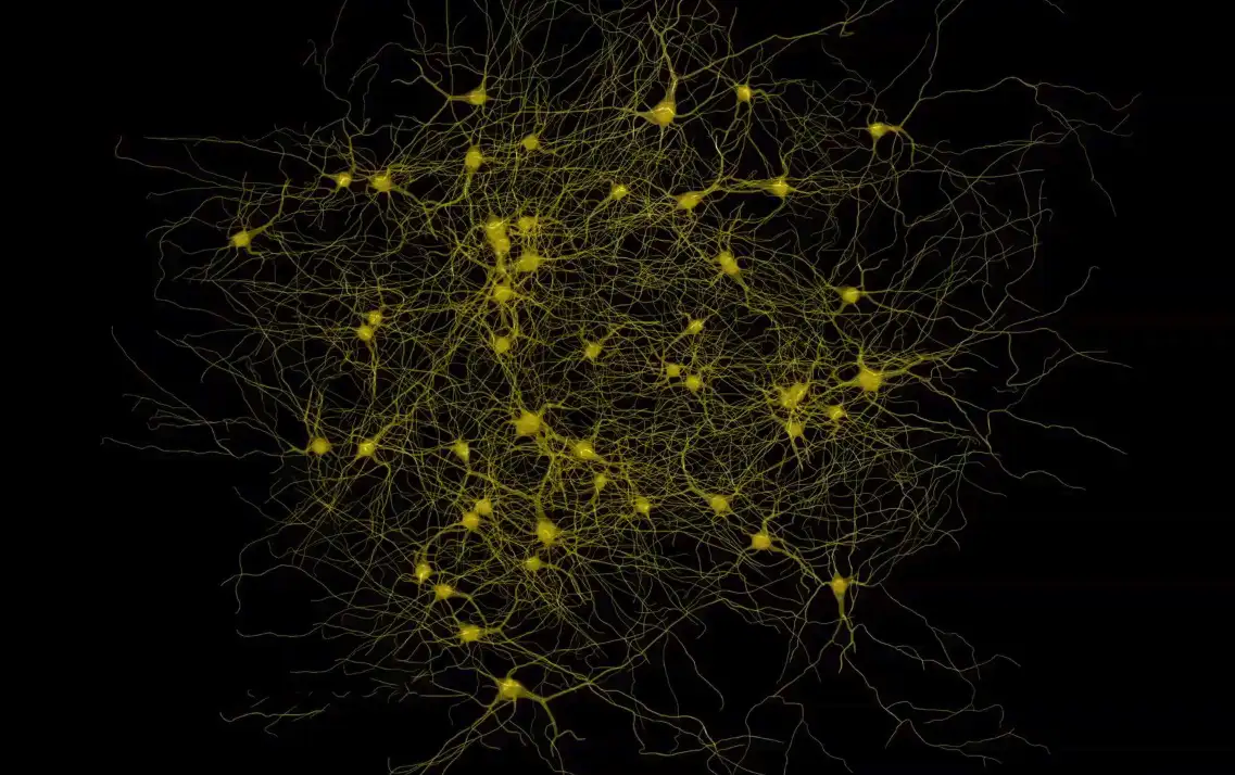 C4D医学动画工程文件:神经元突触传递 Synaptic Transmission - C4D之家 - 屏幕快照 2018-12-20 22.16.37.jpg