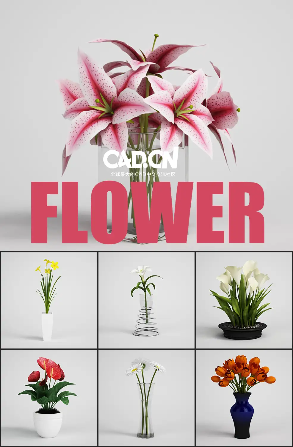 25个室内鲜花插花C4D模型合集 Flower arrangement - C4D之家 - 未命名-3.jpg