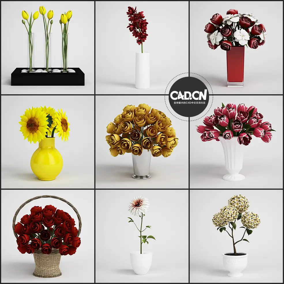 25个室内鲜花插花C4D模型合集 Flower arrangement - C4D之家 - 未命名-2.jpg