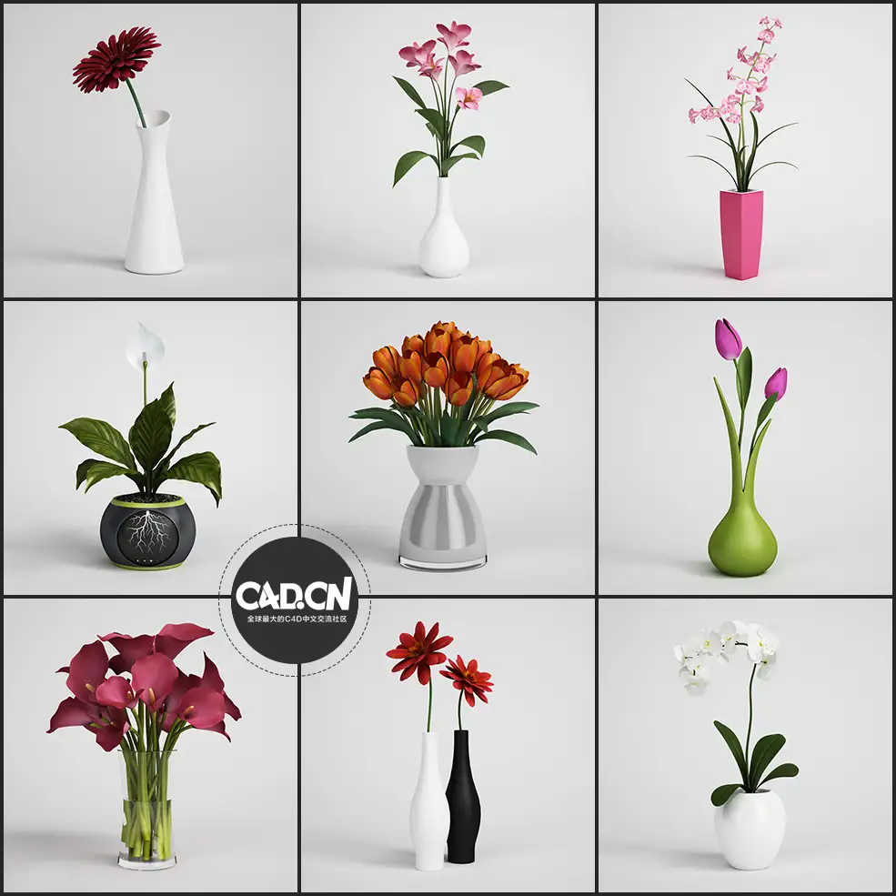 25个室内鲜花插花C4D模型合集 Flower arrangement - C4D之家 - 未命名-1.jpg