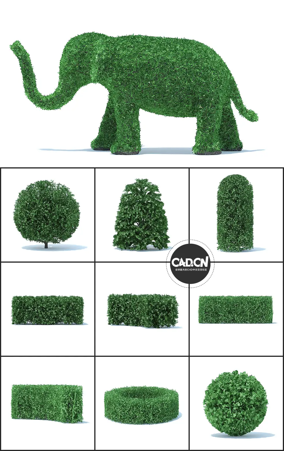 36个观赏园艺植物造型C4D模型合集 HEDGES