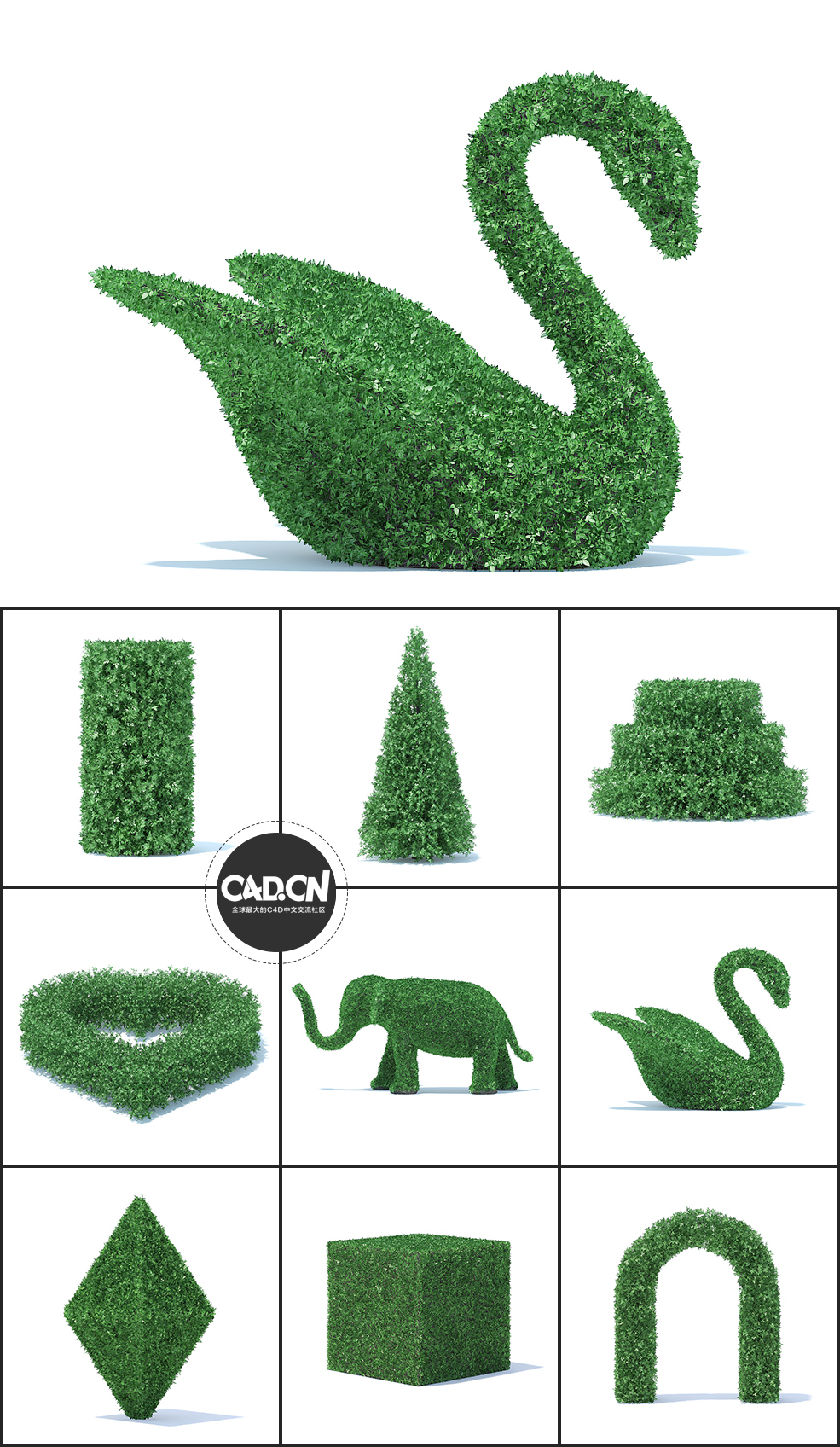 36个观赏园艺植物造型C4D模型合集 HEDGES - C4D之家 - 未命名-2.jpg