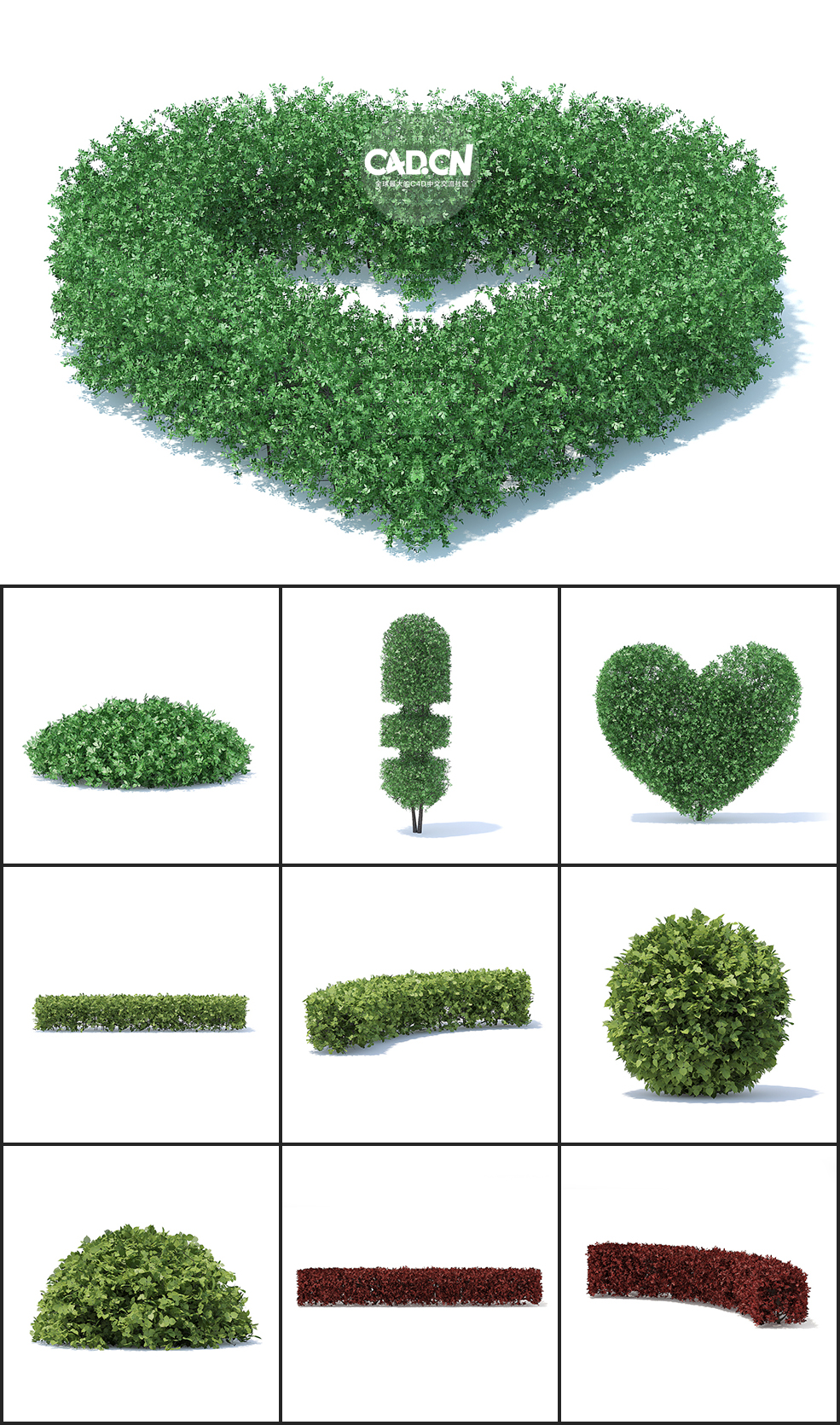 36个观赏园艺植物造型C4D模型合集 HEDGES - C4D之家 - 未命名-3.jpg