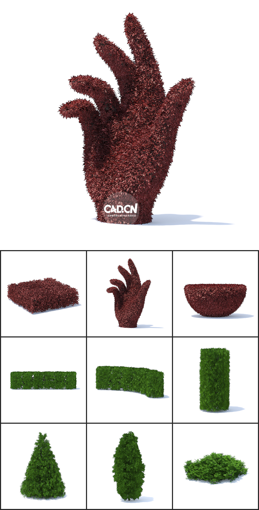 36个观赏园艺植物造型C4D模型合集 HEDGES - C4D之家 - 未命名-4.jpg