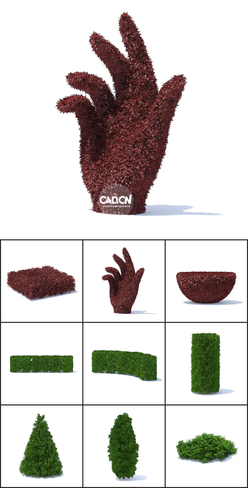 36个观赏园艺植物造型C4D模型合集 HEDGES - C4D之家 - 未命名-4.jpg