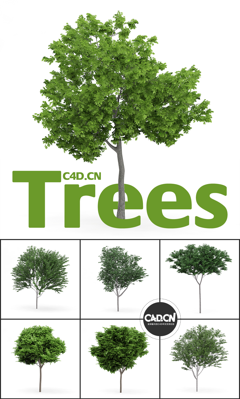 32个景观树木C4D模型合集 Trees