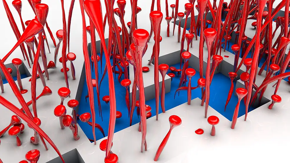C4D粒子发射器制作菌类生长动画工程 PARTICLE EMITTERS