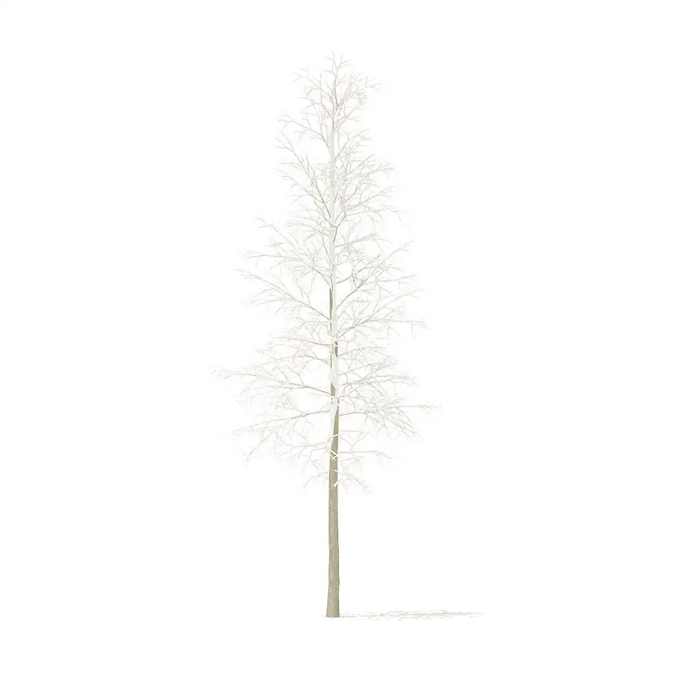 冬天的树木C4D模型 Trees in winter - C4D之家 - cgaxis_models_100_26.jpg